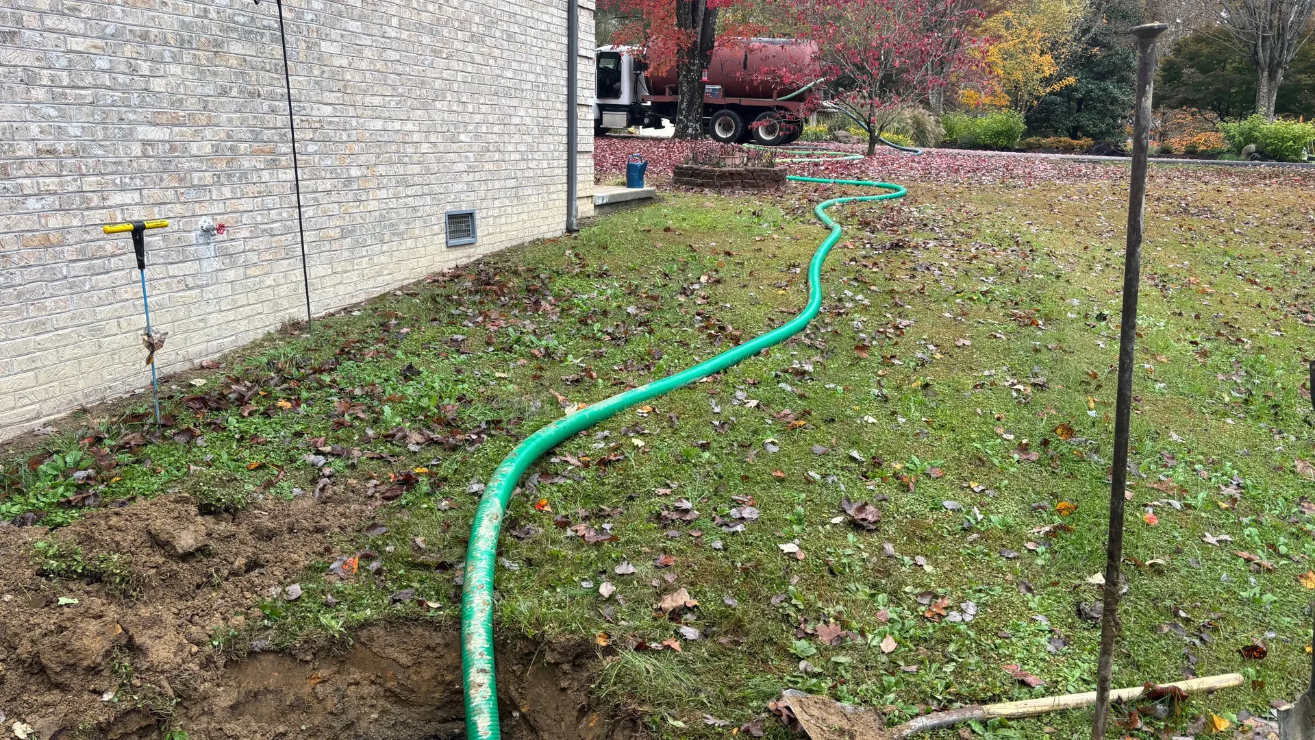 local septic experts